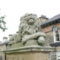Custom new design outdoor garden animal sculpture granite lion statue for sale